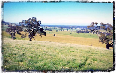 south west view